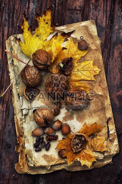 Walnuts, leaves and hazelnuts on old book - бесплатный image #302009
