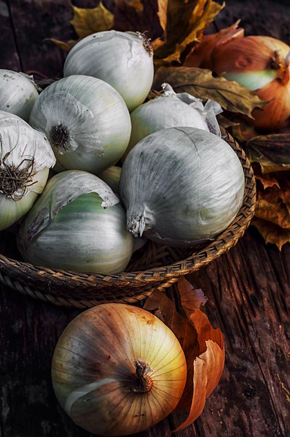 Onions in basket and on wooden background - бесплатный image #302029