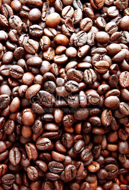 Coffee beans - image gratuit #302299 