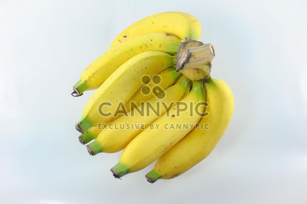 Bunch of bananas - image gratuit #304629 