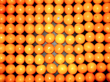 Oranges - Kostenloses image #309529