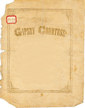 Gipsey Countess - image gratuit #311449 