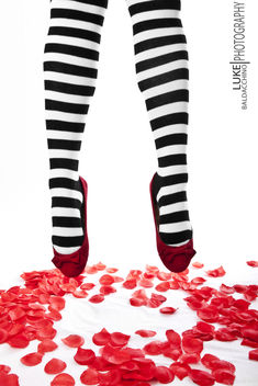 3/52 stockings and roses - Kostenloses image #314679