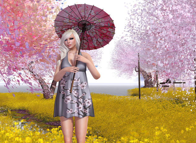 The Liaison Collaborative and Cherry Blossoms - image gratuit #315389 