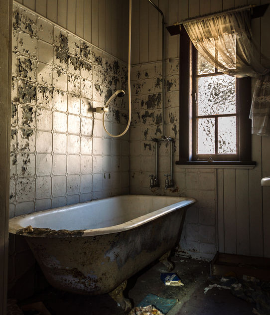 Abandoned Bath Room - image gratuit #319329 