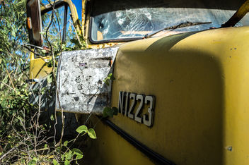Big Yellow Truck - Kostenloses image #320659