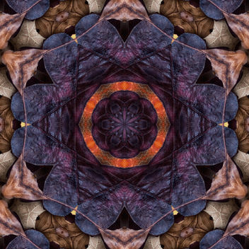 Fall Kaleidoscope III - Free image #321359