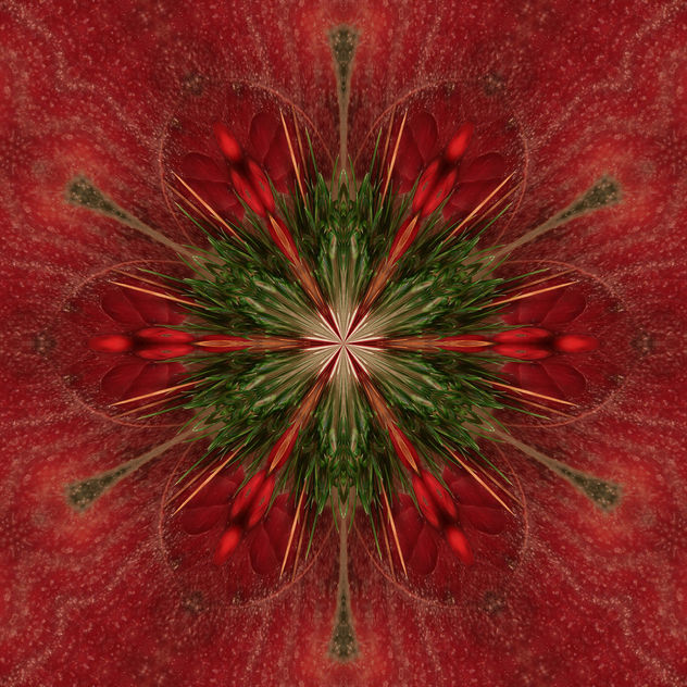 Holiday Season Kaleidoscope 2 - image gratuit #324479 