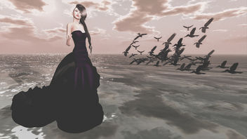 The girl who wanted to marry her crows - image gratuit #325859 