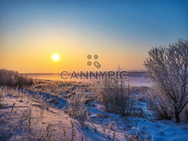 Field covered with snow - image gratuit #326509 