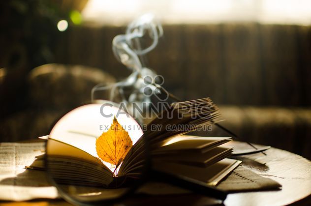 Autumn yellow leaves through a magnifying glass and incense sticks and book - image gratuit #330399 