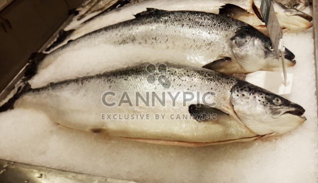 Fish food salmon raw - Free image #330729