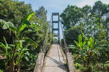 pedestrian bridge in forest - image gratuit #330999 