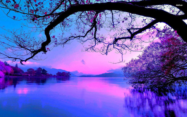 Purple Sunset - Kostenloses image #336889