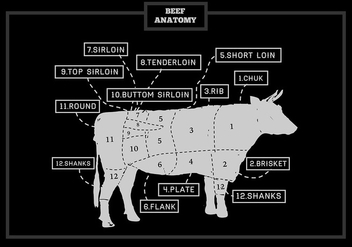 Free Cuts of Beef Anatomy Vector Illustration - Free vector #337749