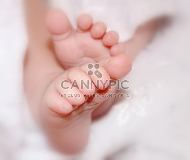 Feet of newborn closeup - image #338299 gratis