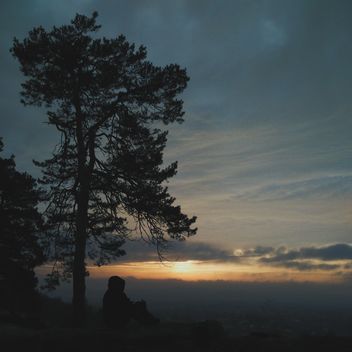 Man under tree at sunset - image #338539 gratis