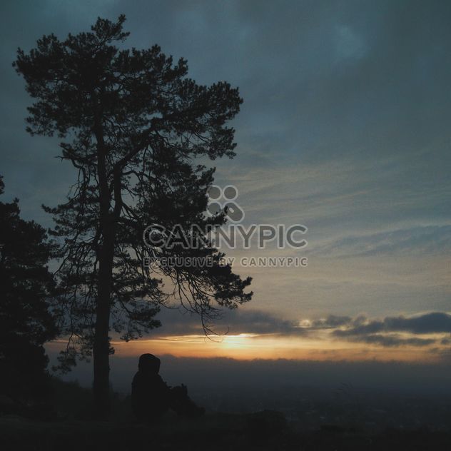 Man under tree at sunset - image #338539 gratis