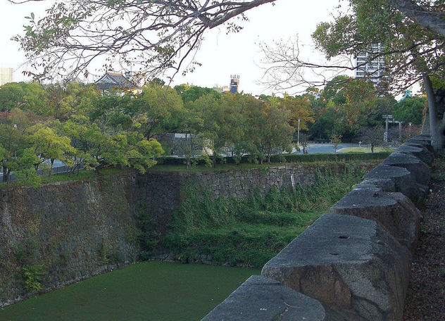 Japan (Osaka) Castle moat covered by green plants and mouds - Free image #339109