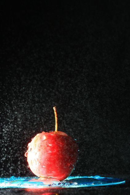 Red apple in water splash on black background - бесплатный image #344559