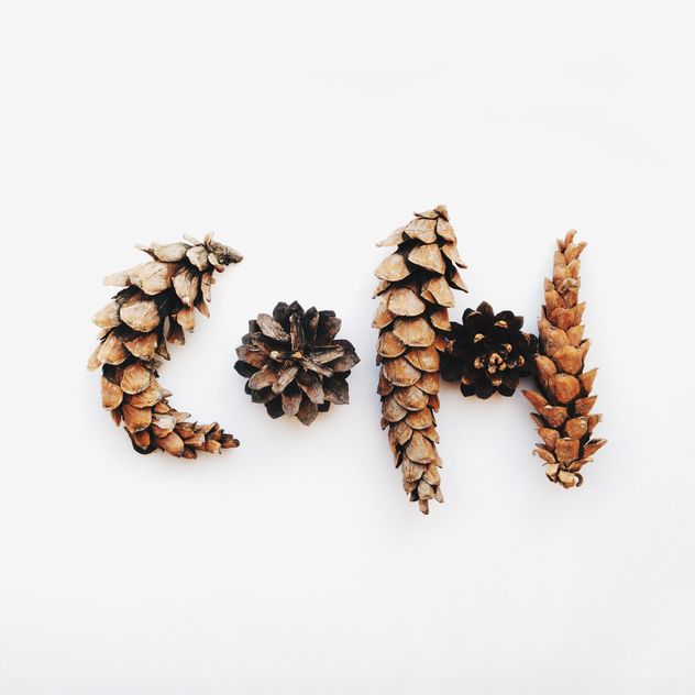 Pine cones on white background - Free image #345029