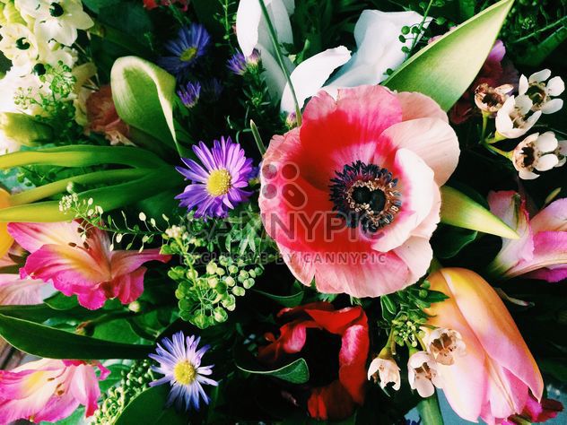 Bouquet of beautiful flowers closeup - image gratuit #345899 