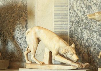 Sculpture of dog in museum, Vatican, Italy - image gratuit #346179 