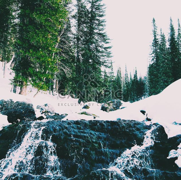 Winter landscape with waterfall in forest - Free image #347009