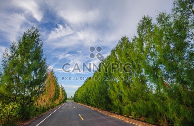 Country road with beautiful nature - image gratuit #347199 