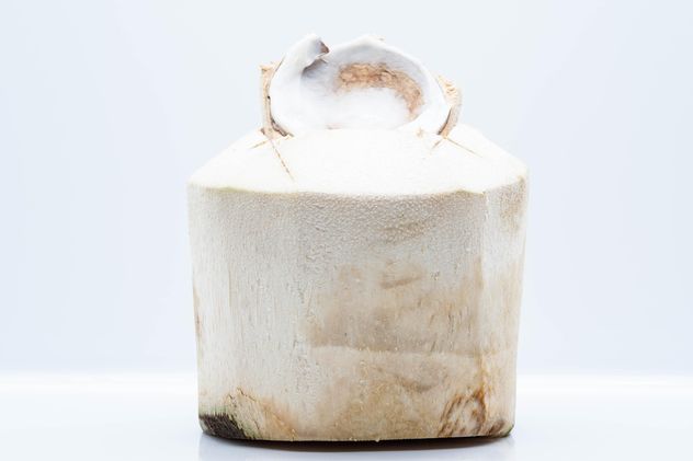 Young coconut on white background - Free image #347759