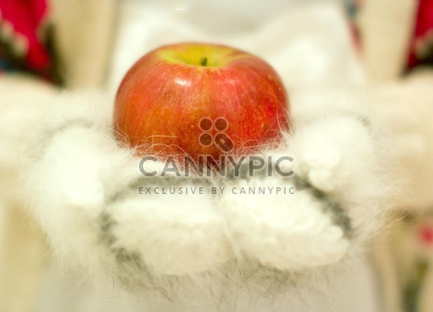 Red apple on warm mittens - image gratuit #347979 