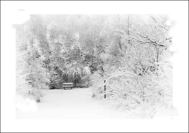 Winter's Chill - image #348349 gratis
