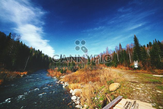 Amazing autumn landscape with river in forest - Kostenloses image #348649