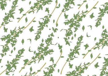 Thyme Vector Background - Free vector #349609