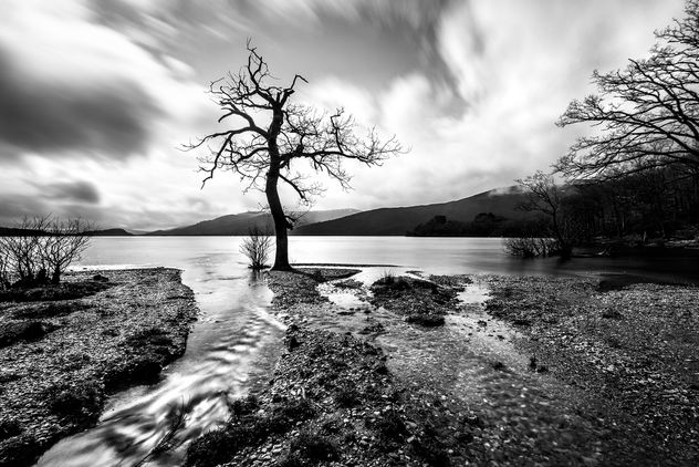 Lock Lomond - Scotland - Landscape photography - image #349739 gratis