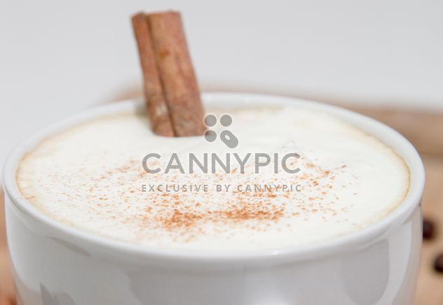 Cup of cappuccino with cinnamon - бесплатный image #350299