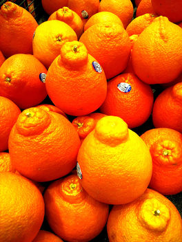 Oranges - image #351079 gratis