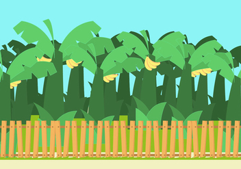 Banana Trees Vector - бесплатный vector #355169