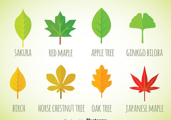 Leaf Flat Icons Vector - Kostenloses vector #357599