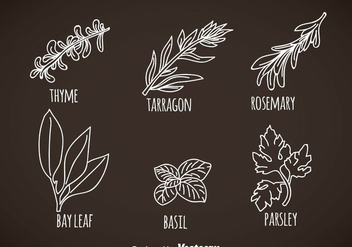 Herbs And Spices Leaves Vectors - бесплатный vector #357829