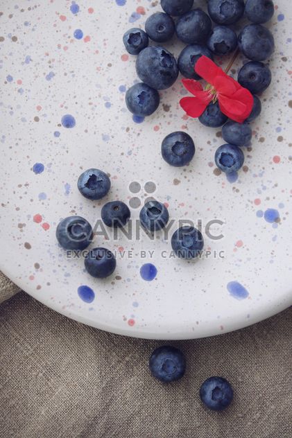 Fresh ripe blueberries - Free image #359189