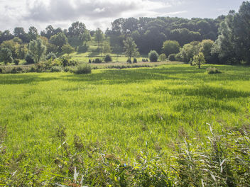 Overbroek Meadow - Free image #360769