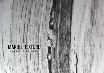 Vector Grey Marble Texture Background - Kostenloses vector #365429