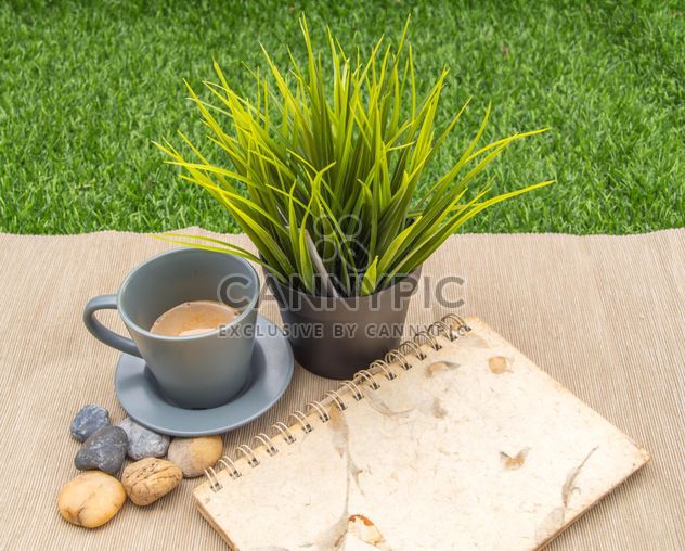 Cup of coffee, green plant and notebook - image gratuit #365609 