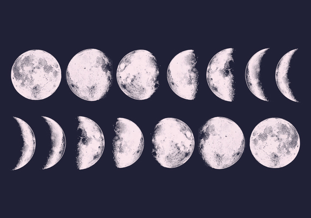 Vector Moon Phases - Kostenloses vector #377399