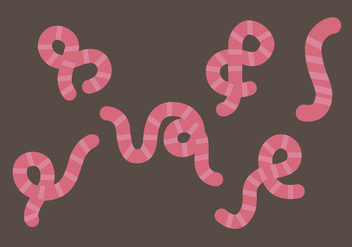 Earthworm Illustration Set - бесплатный vector #382019