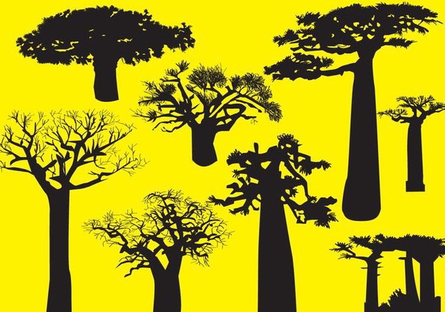 Silhouette Baobab Trees - бесплатный vector #383179