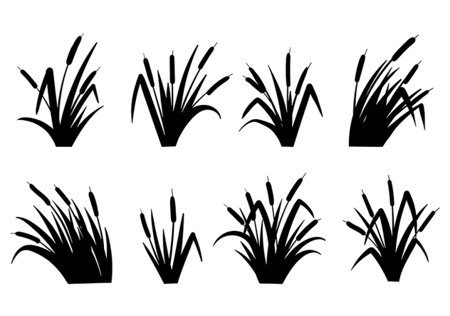 Cattails Vector Black and White - Free vector #383659