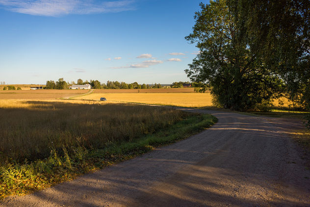 Country road - image gratuit #389849 