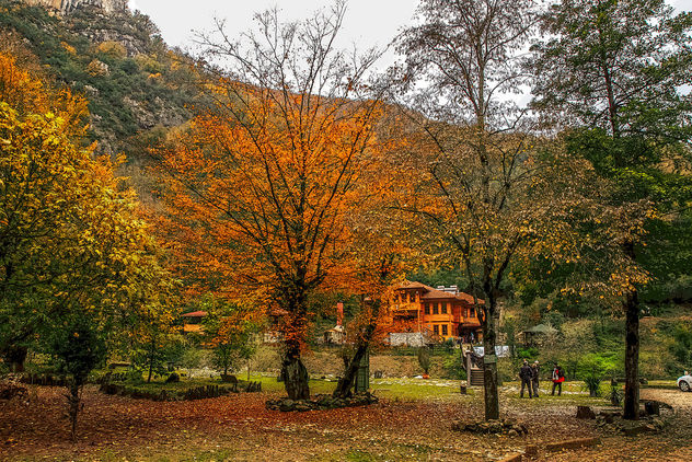 Autumn in Yenice - Free image #395849
